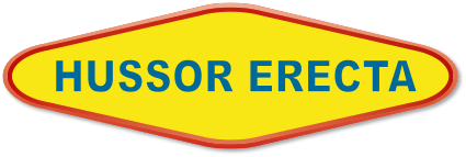 Hussor Erecta